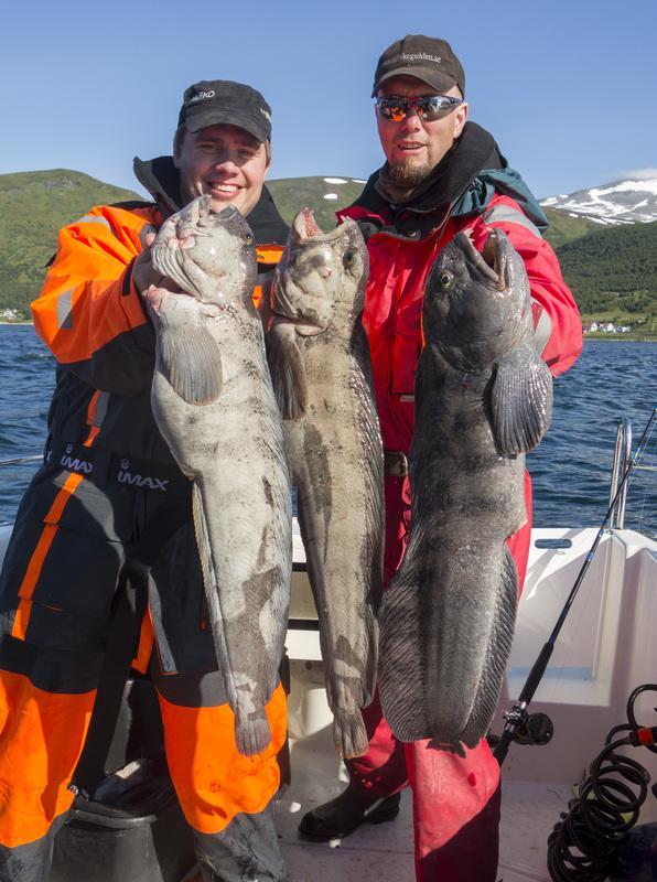 Hansnes Havfiske Kültér fotó